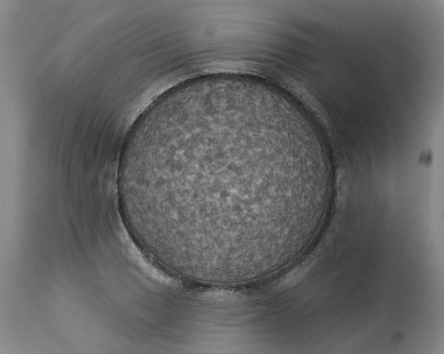 X0000113231033200910011404