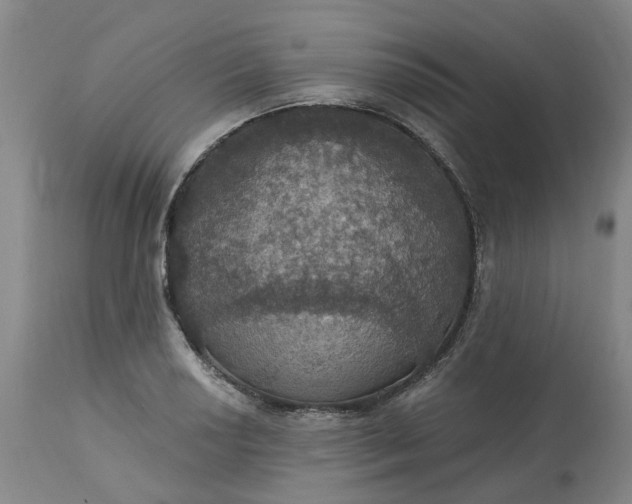 X0000113231034200910011404