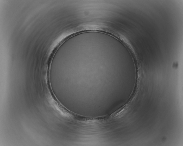 X0000113231035200910011404