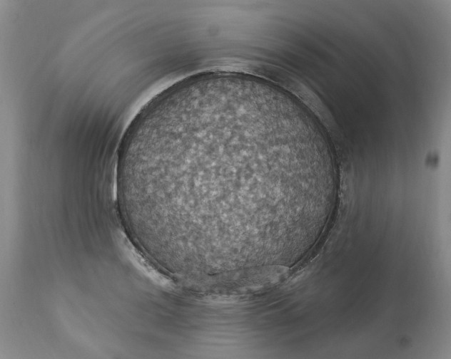 X0000113231036200910011404