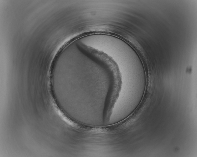 X0000113231037200910011404