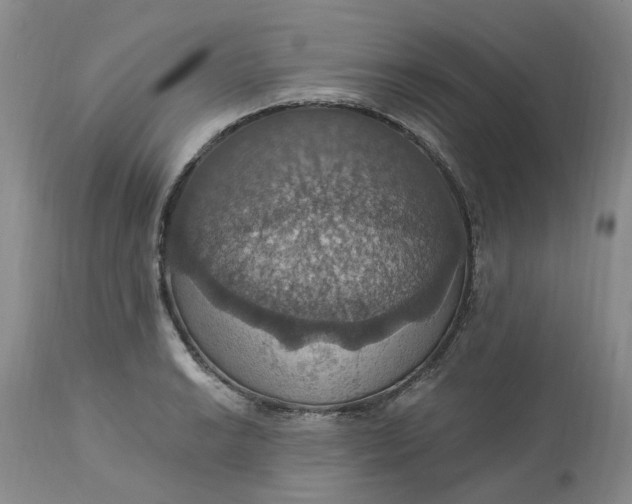 X0000113231038200910011404