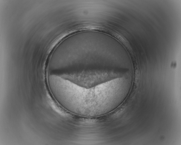 X0000113231039200910011404