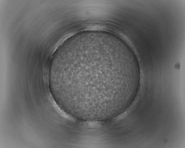 X0000113231041200910011404