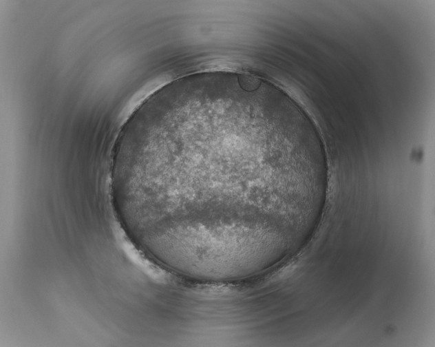 X0000113231042200910011404