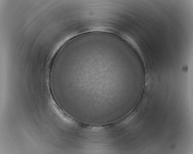 X0000113231043200910011404