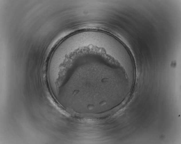 X0000113231045200910011404