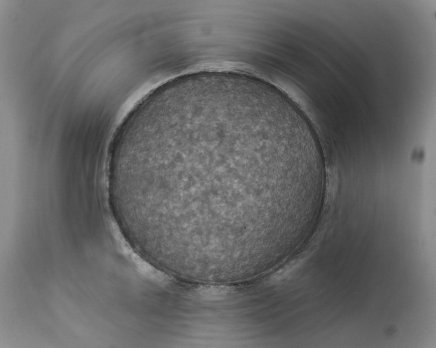 X0000113231046200910011404