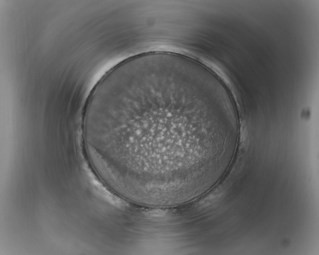 X0000113231048200910011404