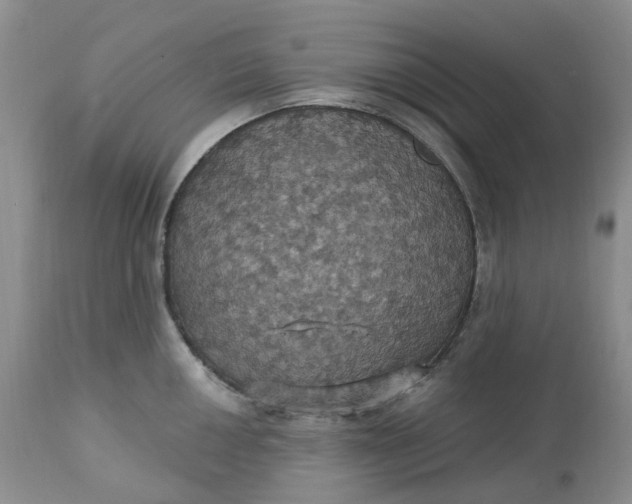 X0000113231050200910011404