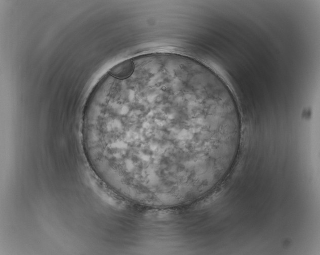 X0000113231051200910011404