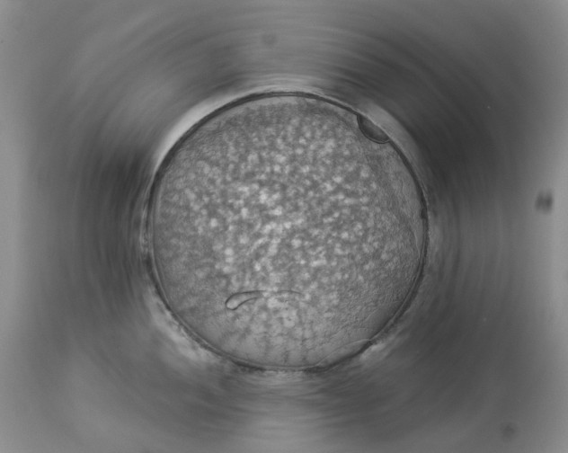 X0000113231052200910011404