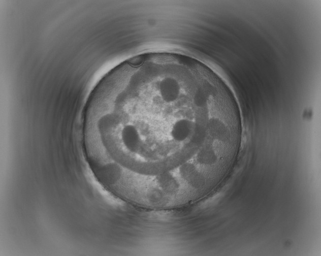 X0000113231053200910011404