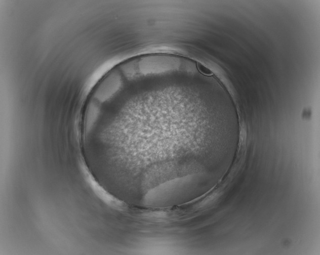 X0000113231054200910011404