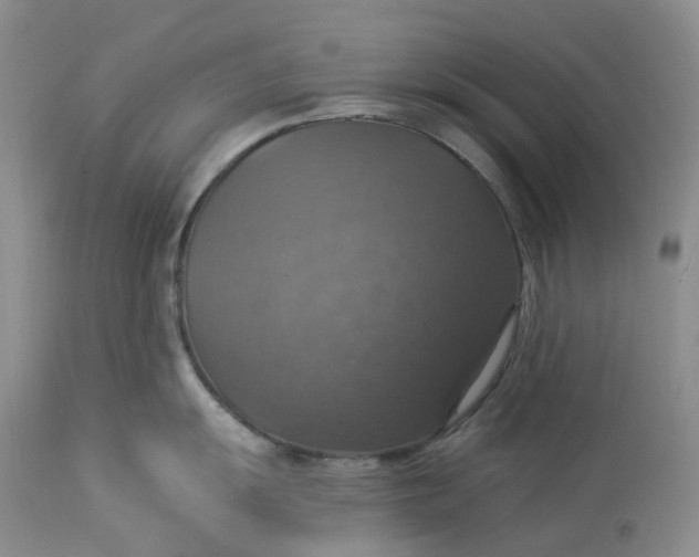 X0000113231055200910011404