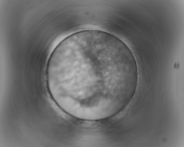 X0000113231056200910011405