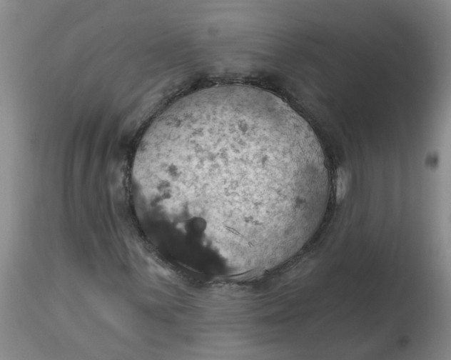 X0000113231059200910011404