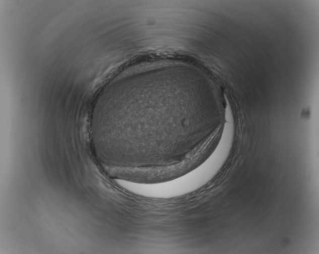 X0000113231060200910011404