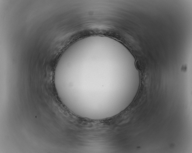 X0000113231061200910011404