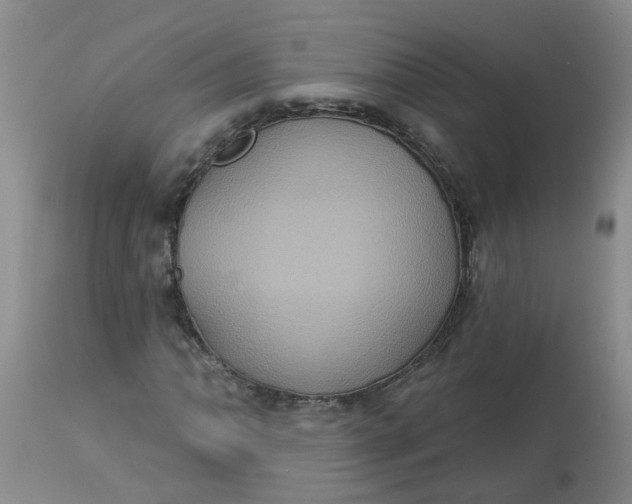 X0000113231062200910011404