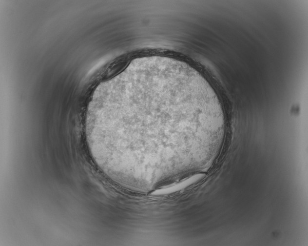 X0000113231064200910011404