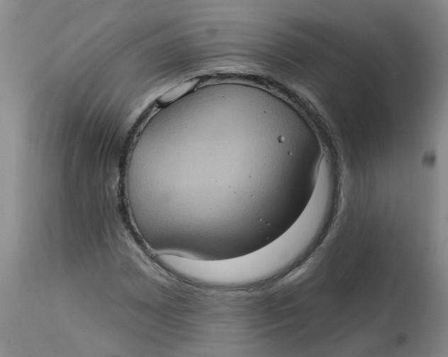 X0000113231065200910011404