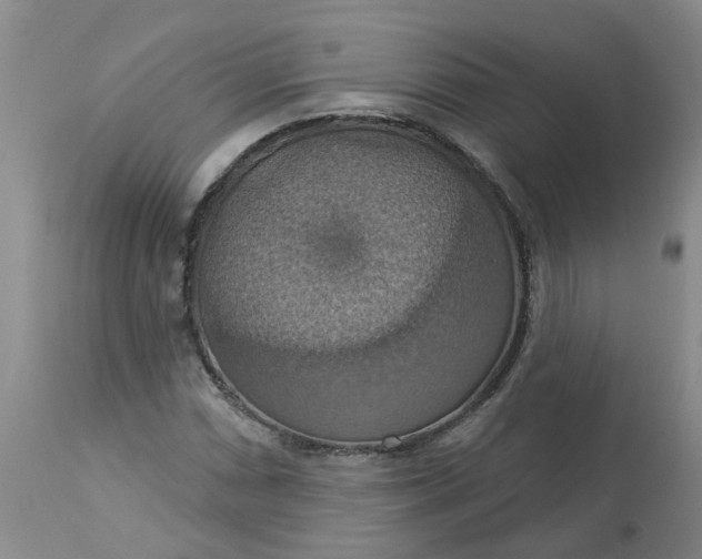 X0000113231066200910011404