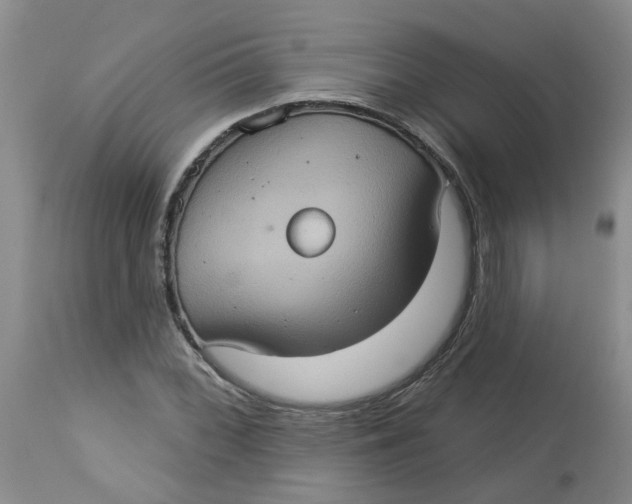 X0000113231068200910011404