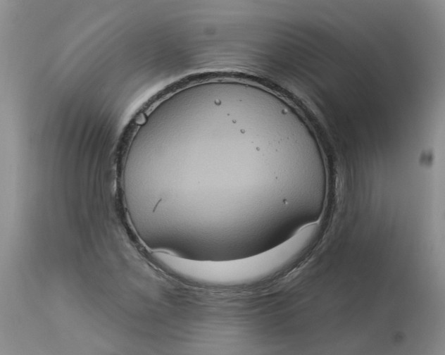 X0000113231069200910011404