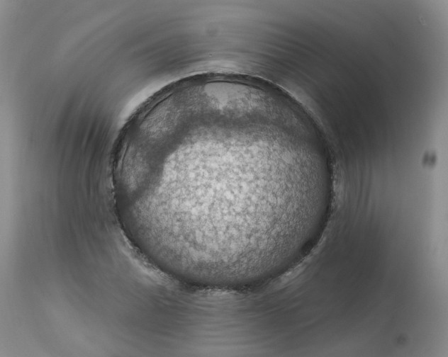 X0000113231070200910011404