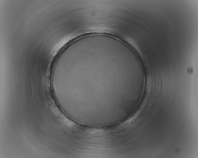 X0000113231071200910011404