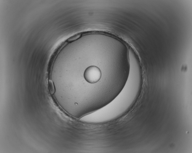 X0000113231072200910011404