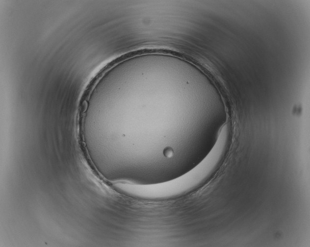 X0000113231076200910011403