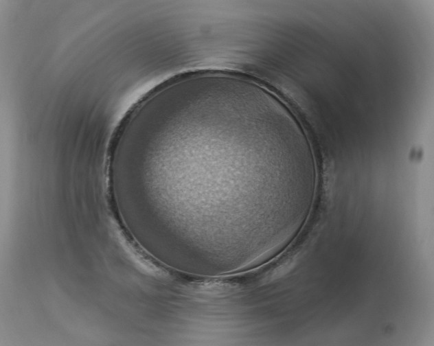 X0000113231077200910011403