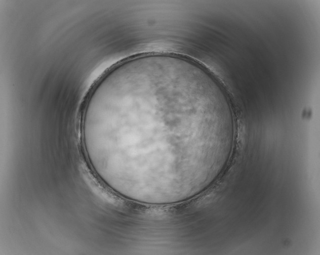 X0000113231078200910011403