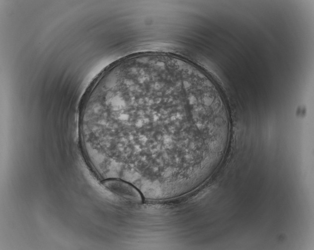 X0000113231079200910011403