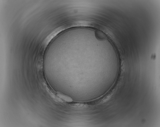 X0000113231081200910011403