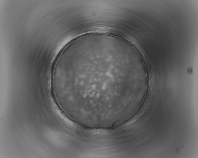 X0000113231083200910011403