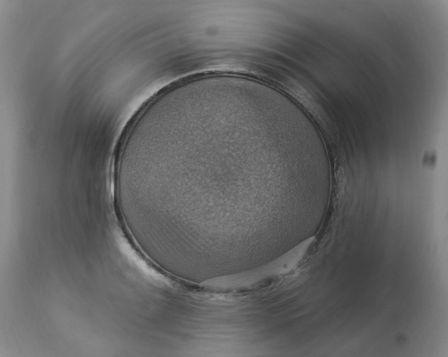 X0000113231084200910011403