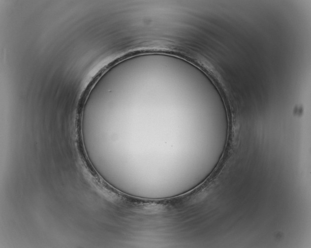 X0000113231085200910011403