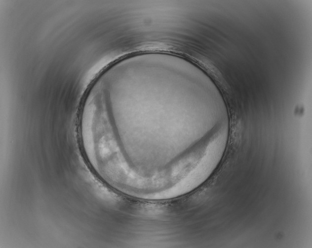 X0000113231086200910011403