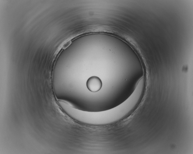 X0000113231089200910011403