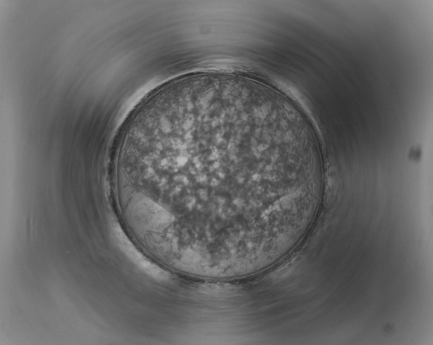 X0000113231091200910011403