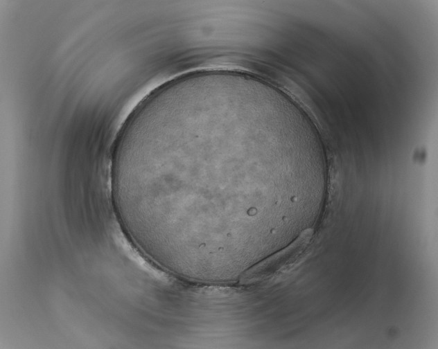 X0000113231092200910011403