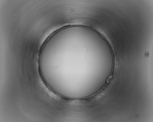 X0000113231093200910011403