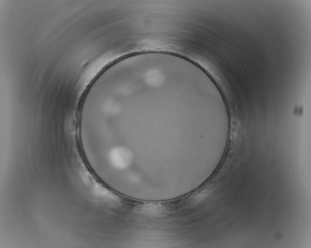 X0000113231094200910011403