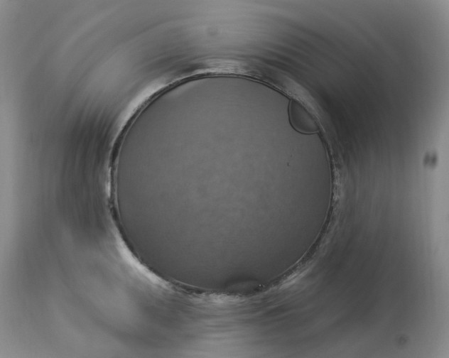 X0000113231095200910011403