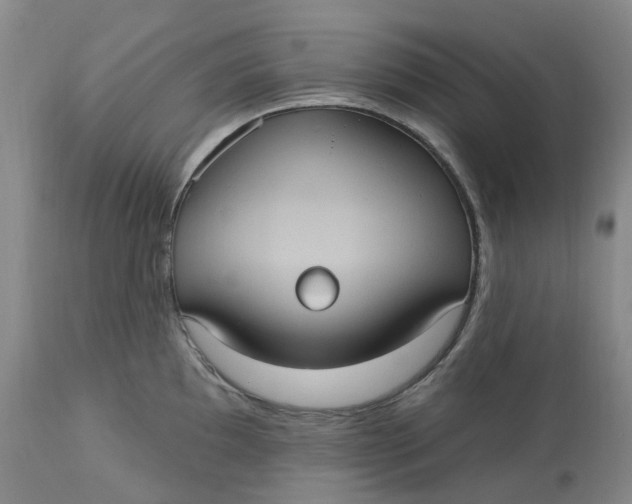 X0000113231097200910011403