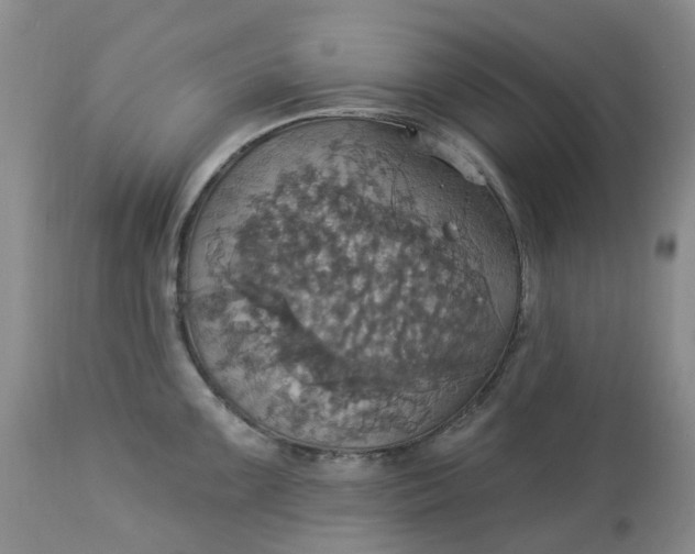 X0000113231099200910011403