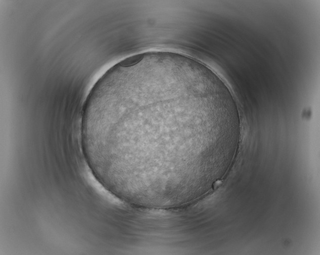 X0000113231100200910011403